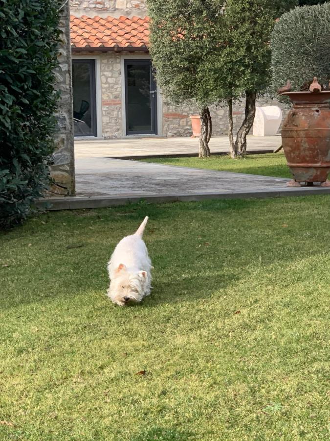 Appartamento In Villa Con Piscina - Mhateria Relais Rignano sullʼArno Dış mekan fotoğraf